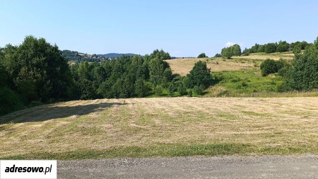 Działka budowlana Zakrzów. Zdjęcie 1