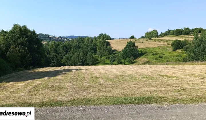 Działka budowlana Zakrzów