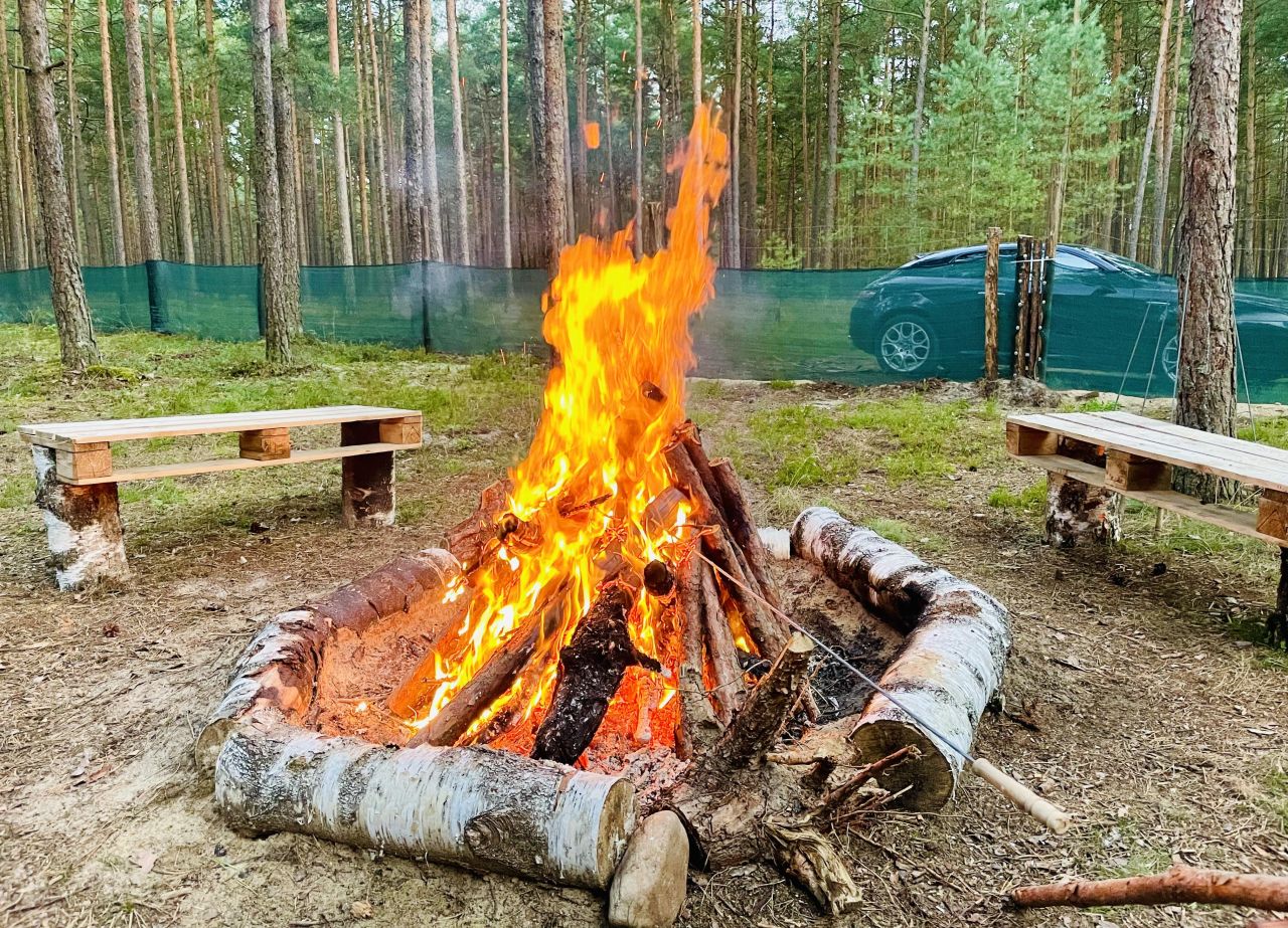 Działka leśna Broda. Zdjęcie 8