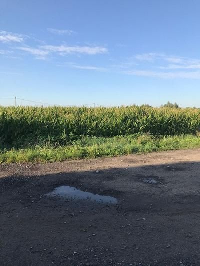 Działka budowlana Dębniałki Kaliskie. Zdjęcie 2