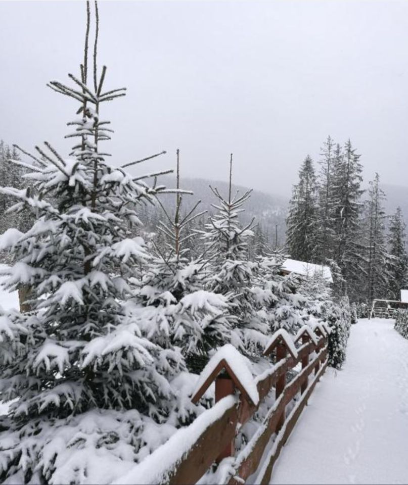Mieszkanie 2-pokojowe Zakopane Toporowa Cyrla, ul. Cyrhla. Zdjęcie 21
