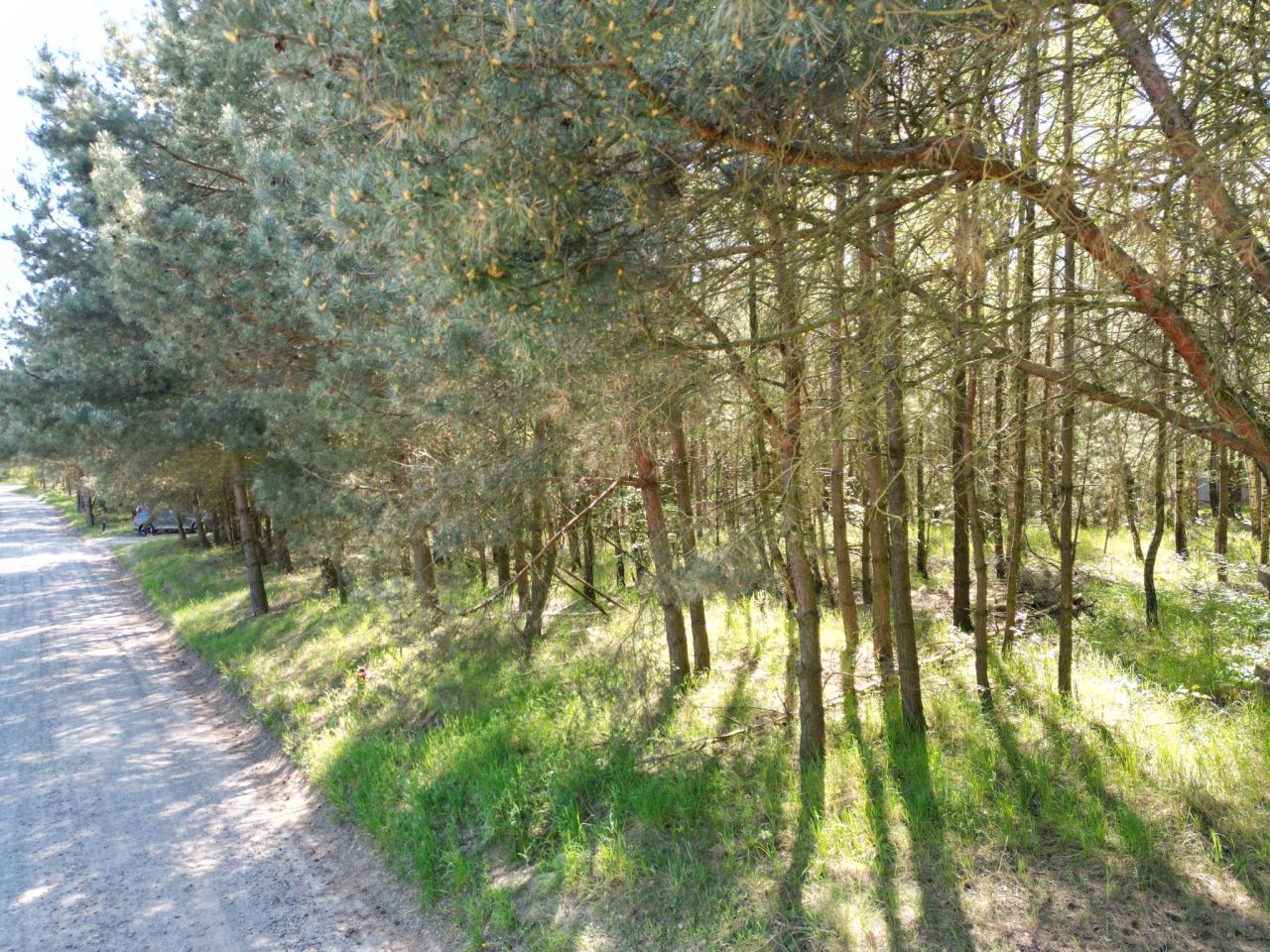 Działka budowlana Stęszewko, ul. Wiejska. Zdjęcie 4