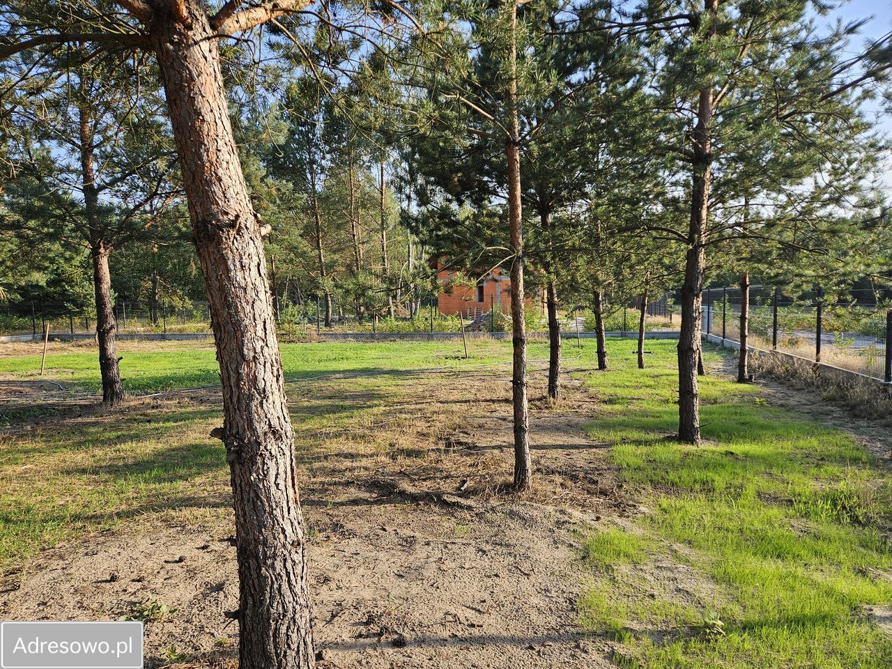 Działka budowlana Adampol, ul. Spacerowa. Zdjęcie 10