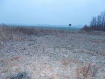 Działka rolno-budowlana Jastrzębnik. Zdjęcie 1