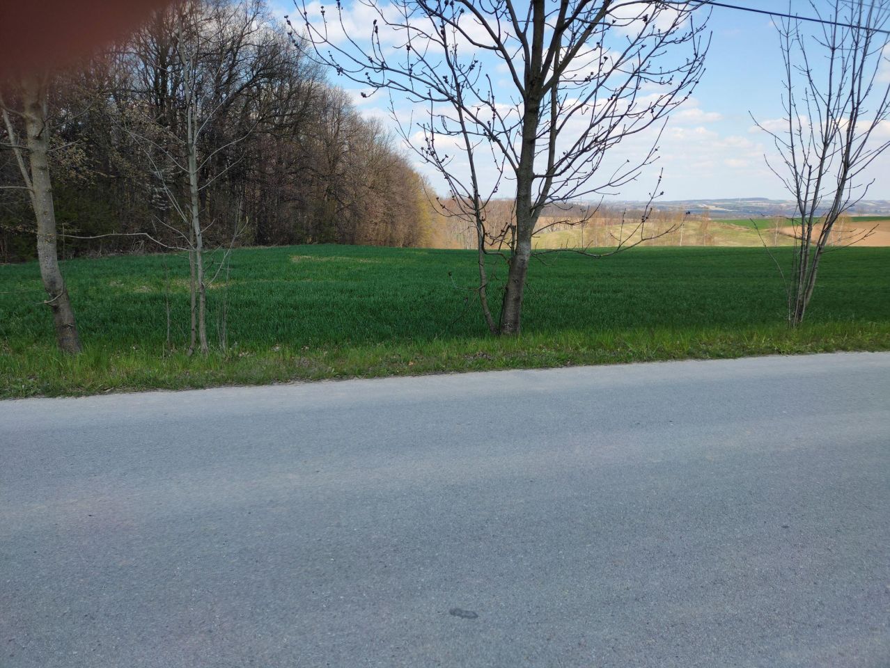 Działka budowlana Celiny. Zdjęcie 26