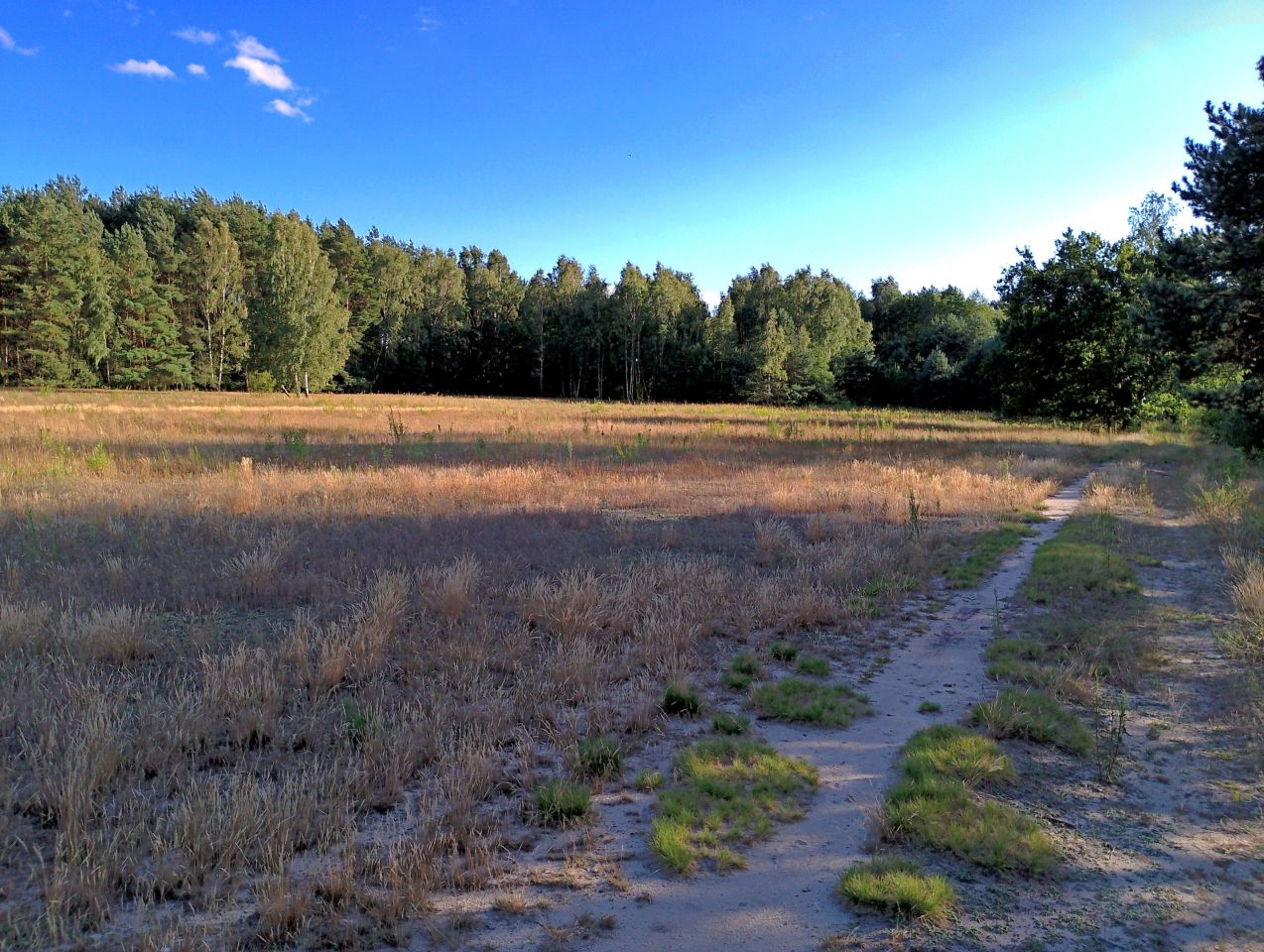 Działka budowlana Franciszków