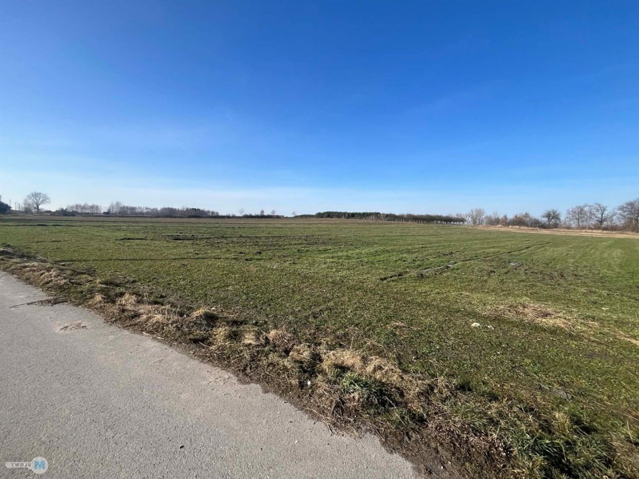 Działka Kostera. Zdjęcie 5