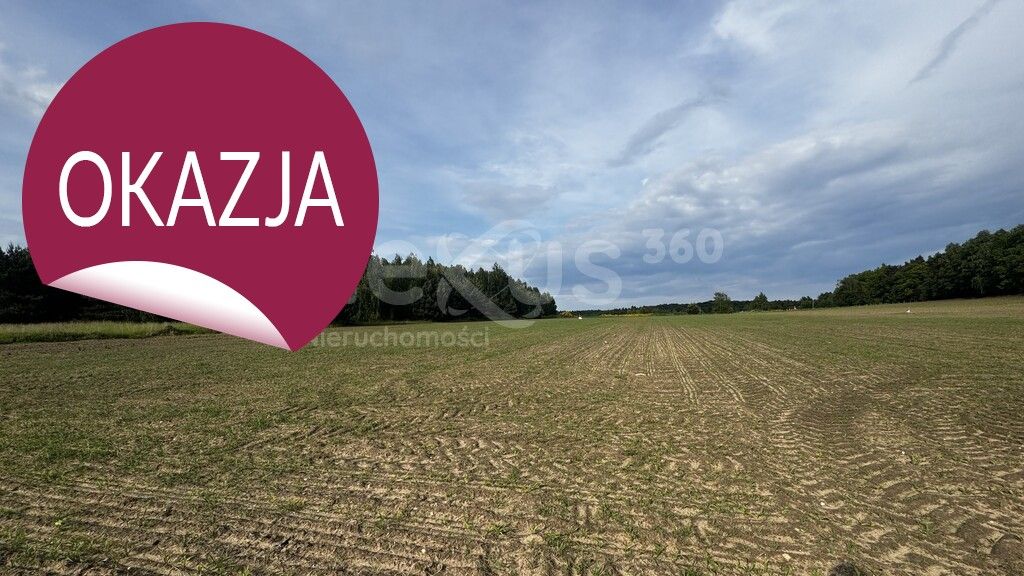 Działka budowlana Sądrożyce. Zdjęcie 5