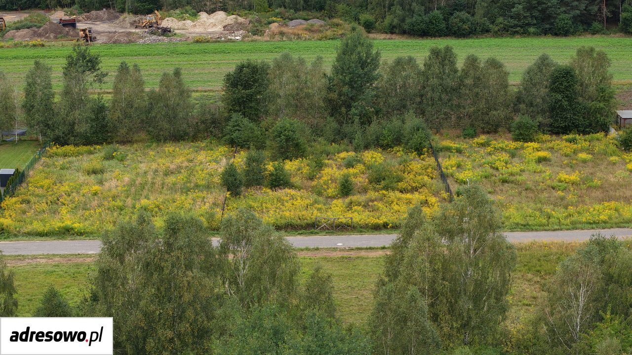 Działka budowlana Kolonia Klepaczka, ul. Polna. Zdjęcie 2