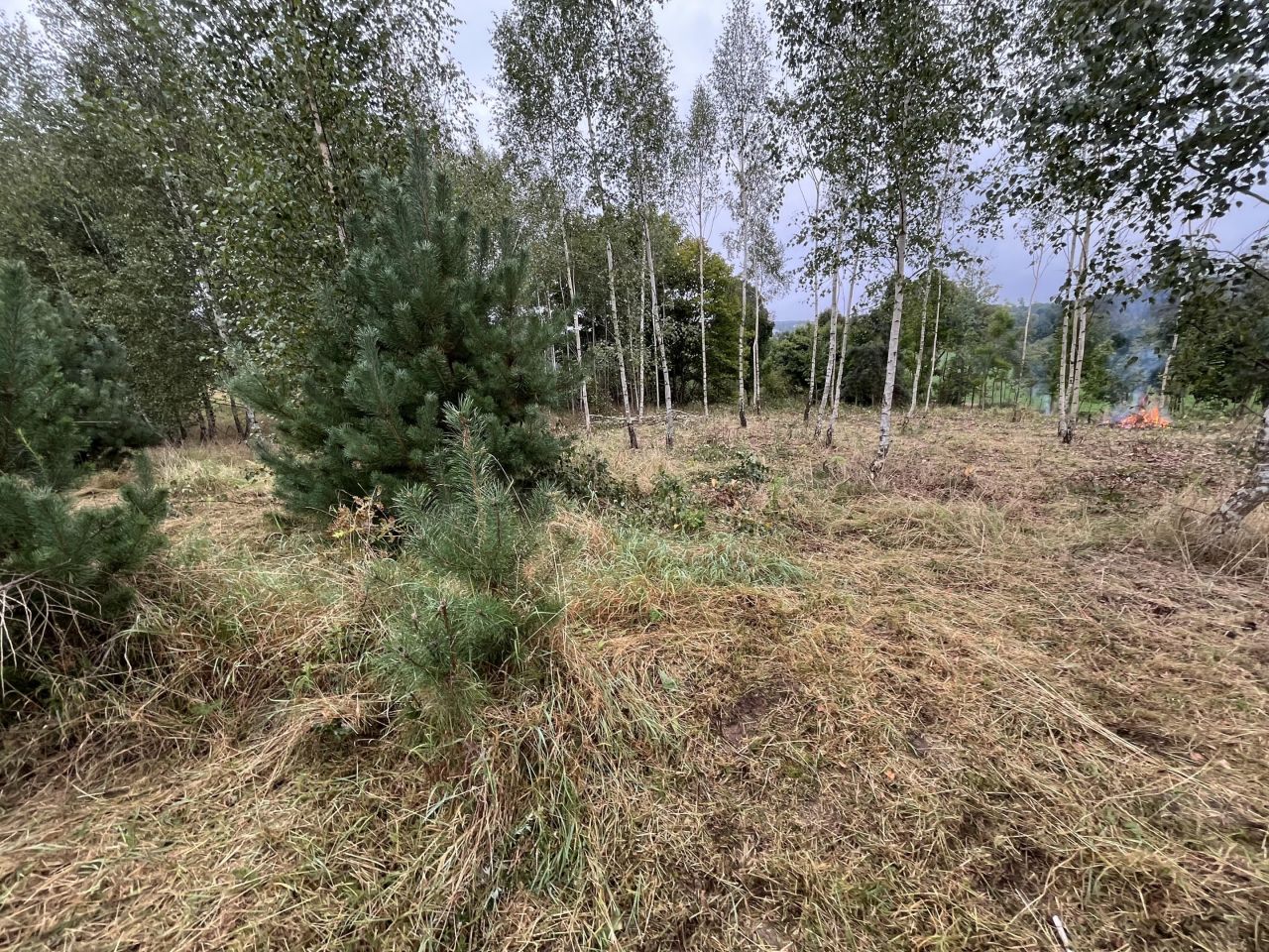 Działka budowlana Zielonczyn, ul. Zielona. Zdjęcie 9