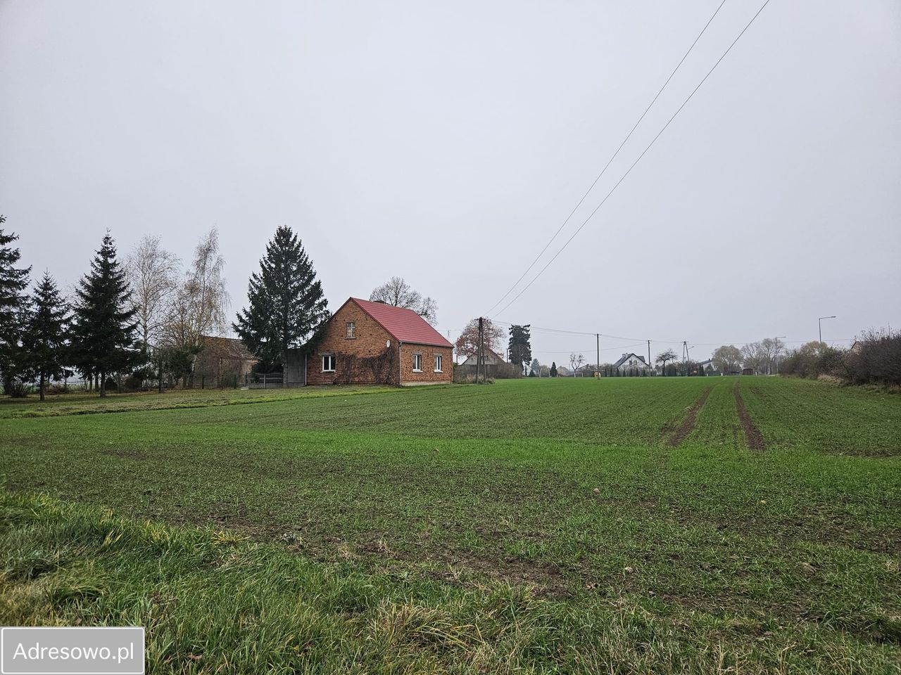Działka budowlana Żegrówko, ul. Leśna. Zdjęcie 1