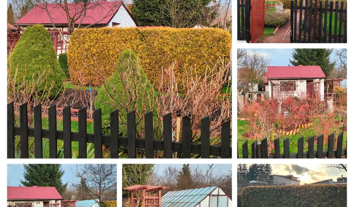 Działka rod Skarżysko-Kamienna Dolna Kamienna, Piękna