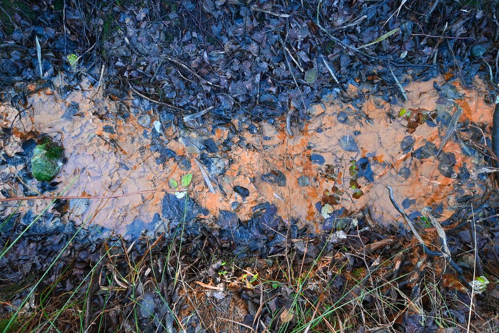 Działka budowlana Wieściszowice. Zdjęcie 18