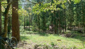 Działka leśna Brajniki