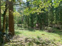 Działka leśna Brajniki. Zdjęcie 1