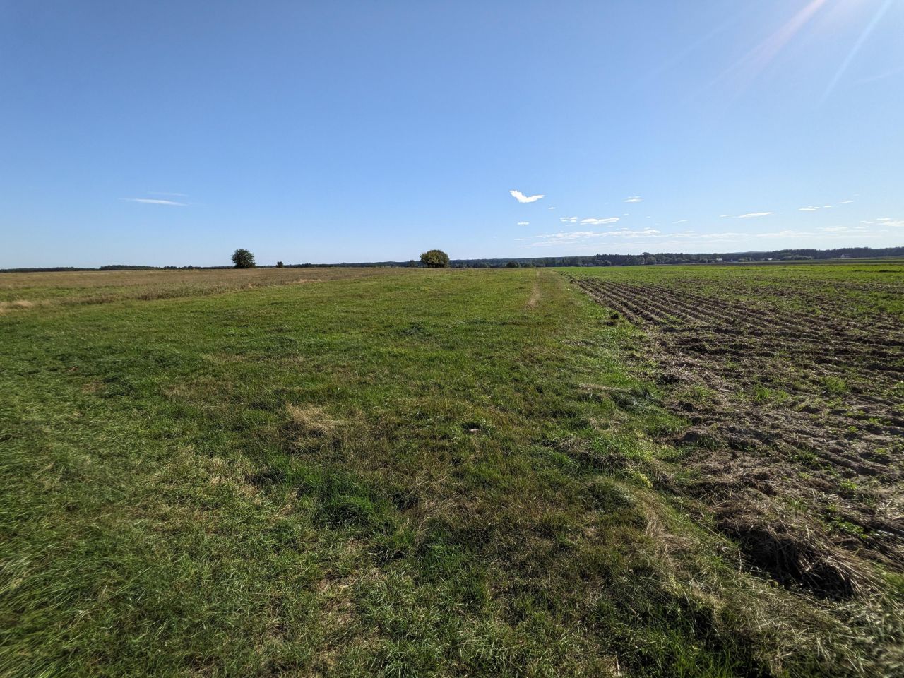 Działka rolna Eliaszówka. Zdjęcie 6