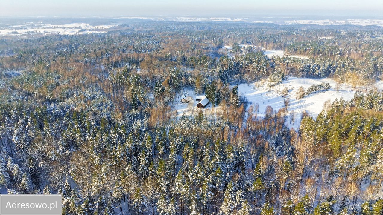 siedlisko, 5 pokoi Nowe Kawkowo. Zdjęcie 10