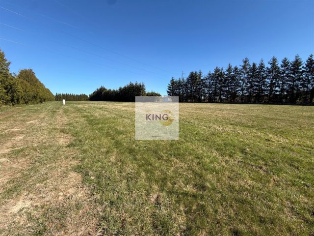 Działka Binowo. Zdjęcie 2