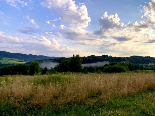 Działka budowlana Cieniawa. Zdjęcie 5