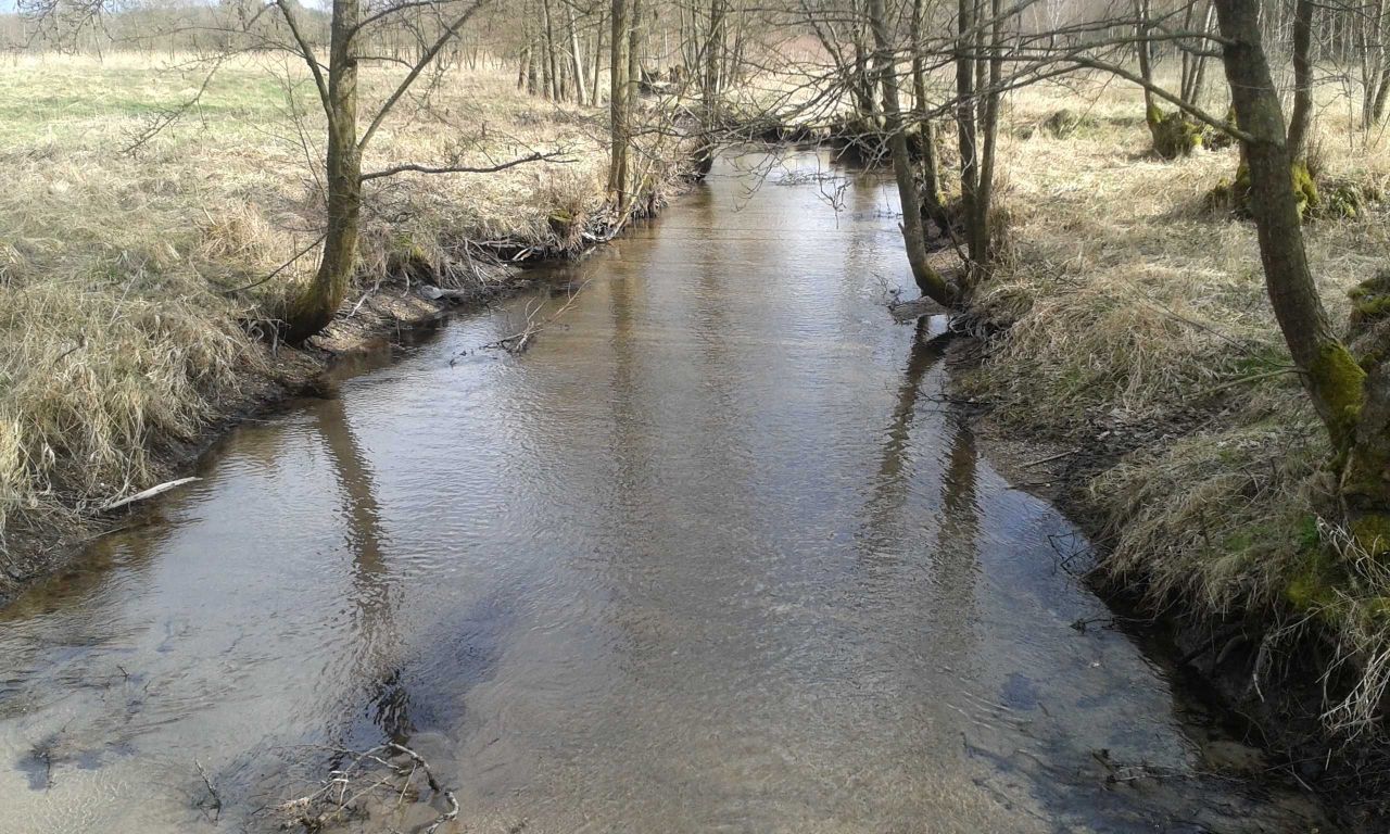 Działka rolno-budowlana Zimne Zdroje. Zdjęcie 5