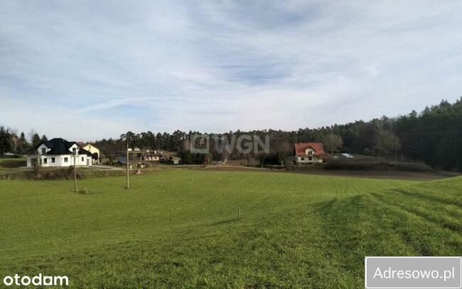 Działka budowlana Gaj-Grzmięca. Zdjęcie 15
