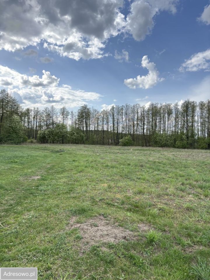 Działka siedliskowa Szczepkowo-Giewarty