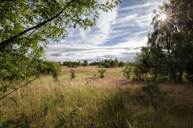 Działka budowlana Sarbsk. Zdjęcie 2