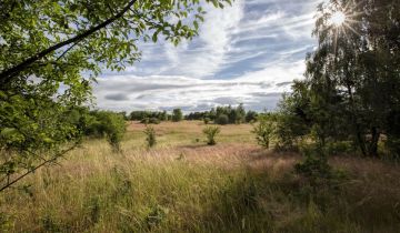 Działka budowlana Sarbsk