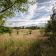 Działka budowlana Sarbsk. Zdjęcie 2