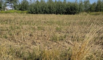 Działka budowlana Ciecierzyn