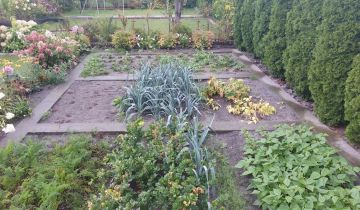 Działka rod Bełchatów