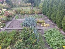 Działka rod Bełchatów. Zdjęcie 1