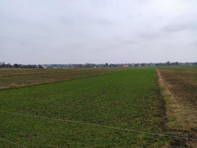 Działka budowlana Wola Niemiecka. Zdjęcie 1