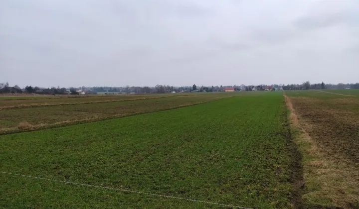 Działka budowlana Wola Niemiecka