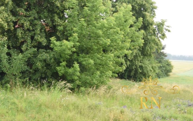 Działka budowlana Ostrówek Kolonia. Zdjęcie 5