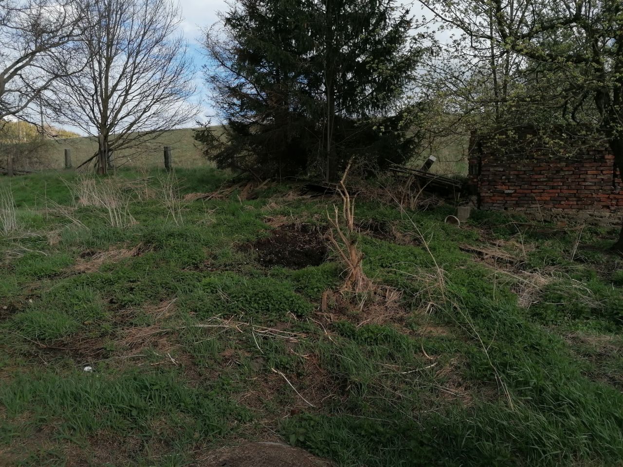 Działka budowlana Wałbrzych Poniatów, ul. Władysława Orkana. Zdjęcie 5