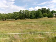 Działka budowlana Śródborze Głodowo. Zdjęcie 3