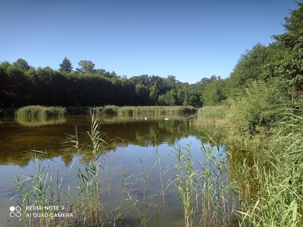 Działka rekreacyjna Ptakowice, ul. Wyzwolenia. Zdjęcie 7