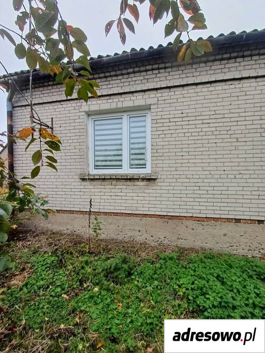 Działka siedliskowa Białuty. Zdjęcie 4