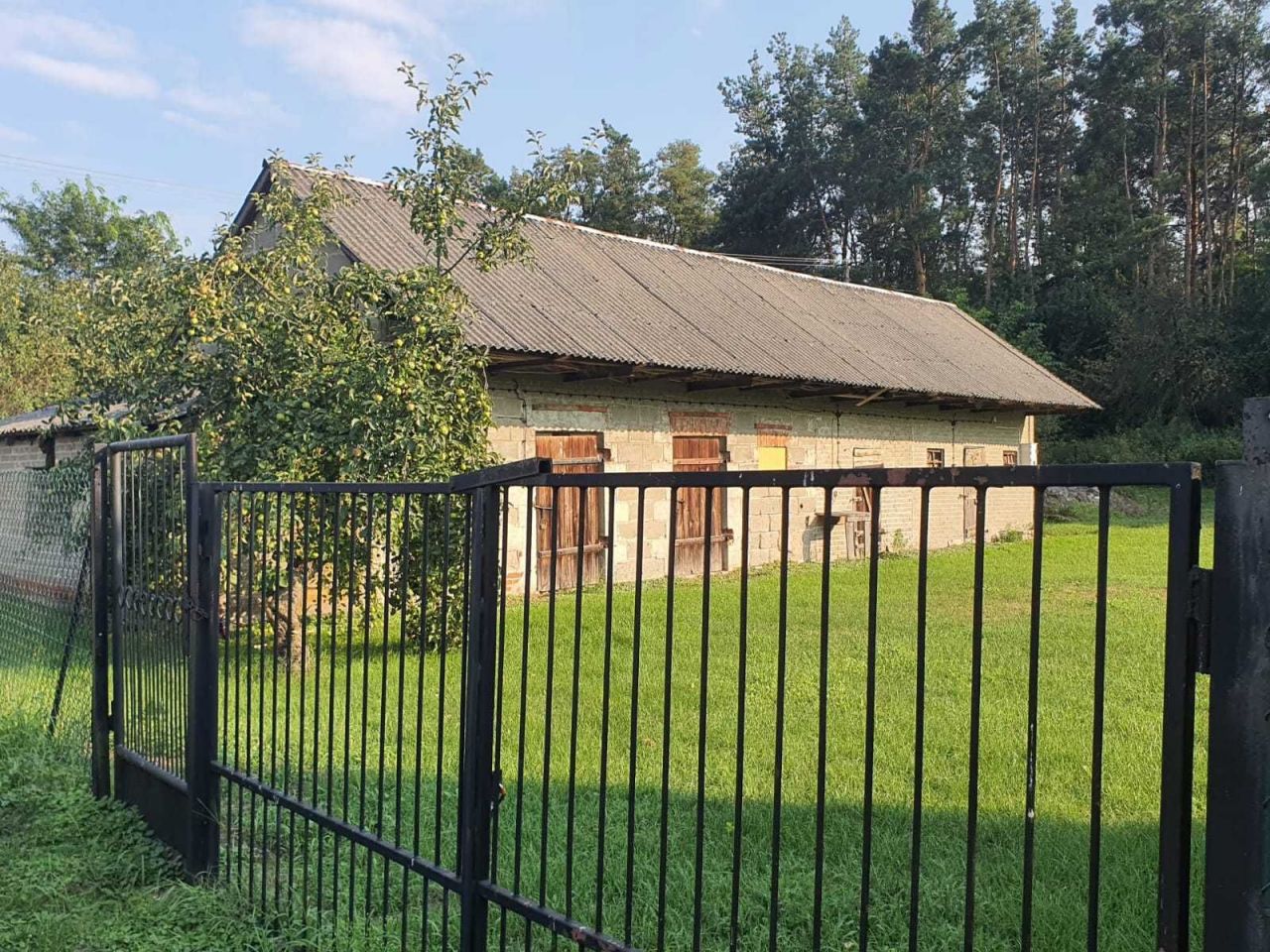 Działka Gniazdków. Zdjęcie 1