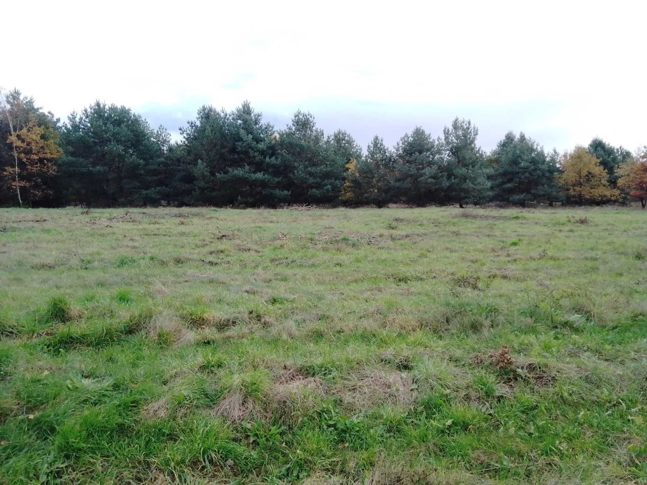 Działka budowlana Świdnica. Zdjęcie 7