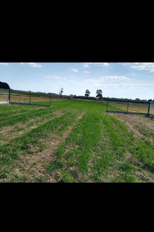 Działka budowlana Wincentów. Zdjęcie 3