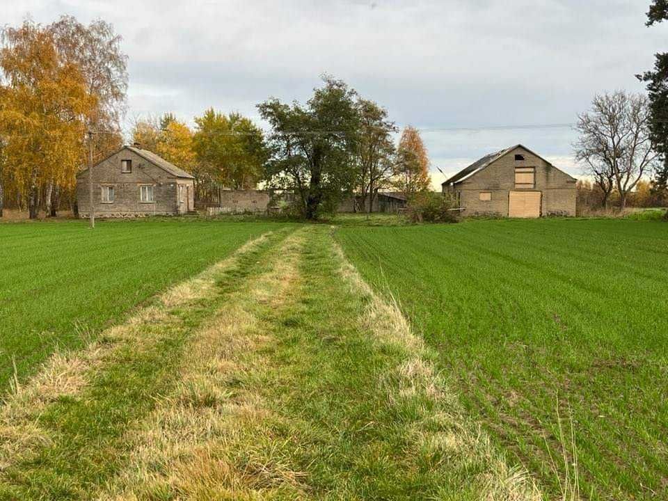 gospodarstwo Mieczyno