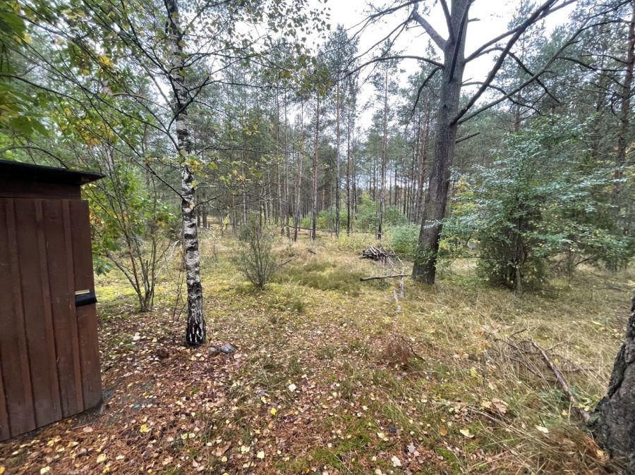Działka rekreacyjna Kłączno. Zdjęcie 5