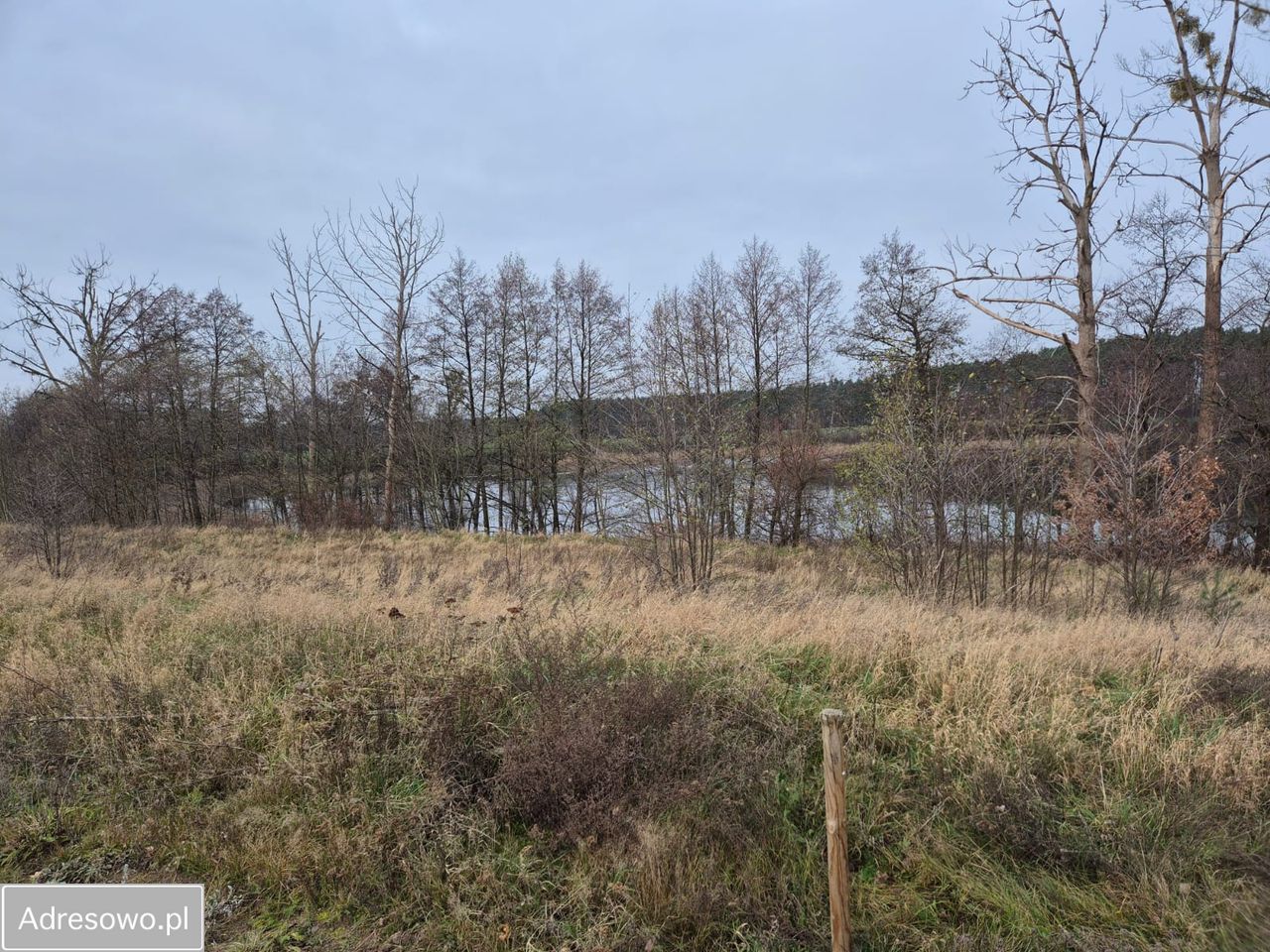 Działka budowlana Orliczko. Zdjęcie 5