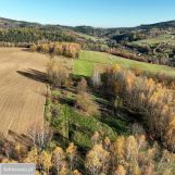 Działka rolno-budowlana Olszowa. Zdjęcie 2