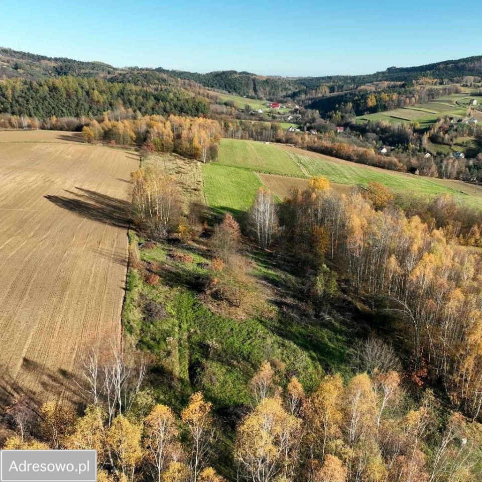 Działka rolno-budowlana Olszowa. Zdjęcie 3