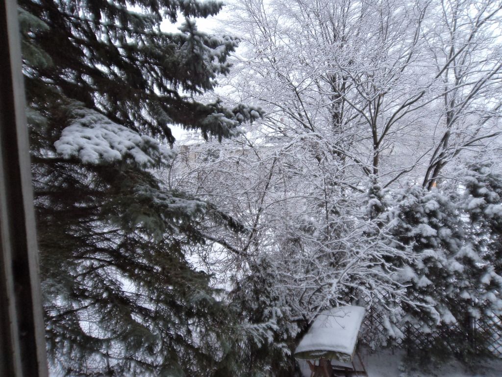 Mieszkanie 4-pokojowe Warszawa Wilanów, ul. Królowej Marysieńki. Zdjęcie 7