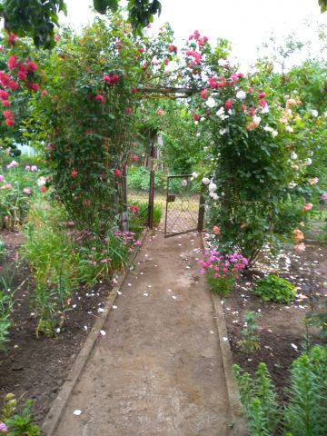 Działka rekreacyjna Gorzów Wielkopolski, ul. Marcina Kasprzaka. Zdjęcie 1