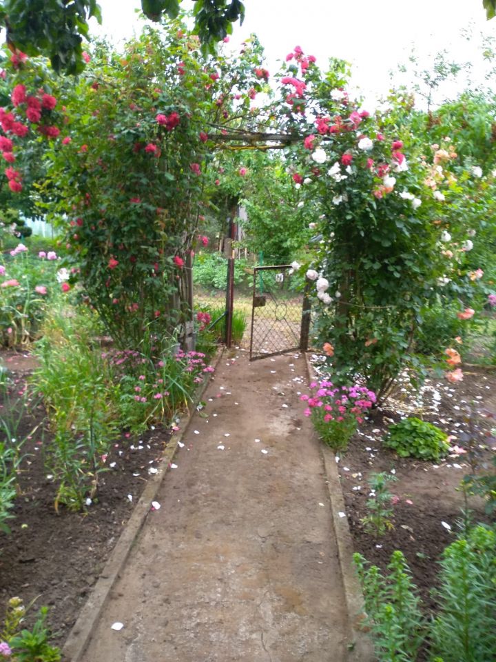 Działka rekreacyjna Gorzów Wielkopolski, ul. Marcina Kasprzaka